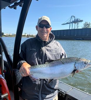 Beautiful Chinook salmon from Milwaukie waters!