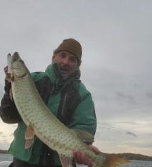 Calm morning on Lake Minnetonka.