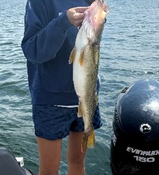 Nice Minneapolis bass making the trip worthwhile!