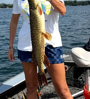 Nice Minneapolis northern pike caught and ready for photos!
