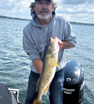 Beautiful Minneapolis walleye makes for perfect fishing success!
