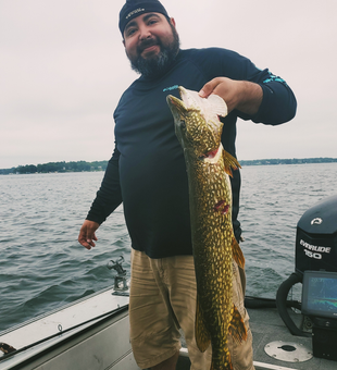 Beautiful Lake Minnetonka Northern Pike ready for photos!