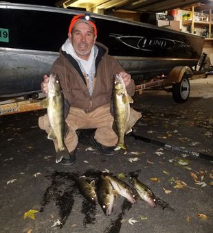 Cool breeze, quiet shoreline.