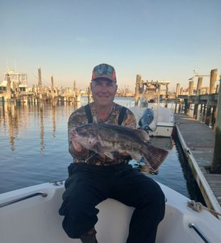 Inshore Catch of the Day! - Tautog