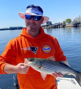 Nice Narragansett striped bass on the boat!