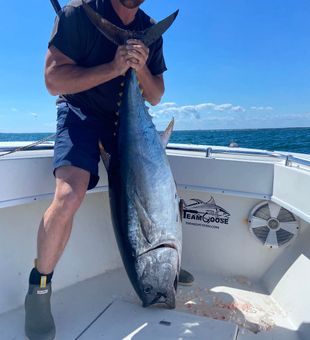 From Cape Cod harbor to tuna zone