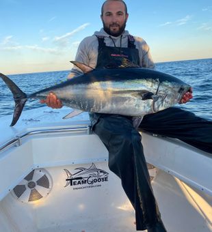 Tuna gear loaded—Cape Cod ready