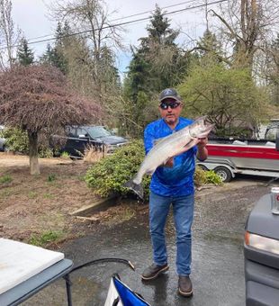 Catching Salmon: Willamette River