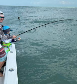 Sebastian's fin-tastic journey!