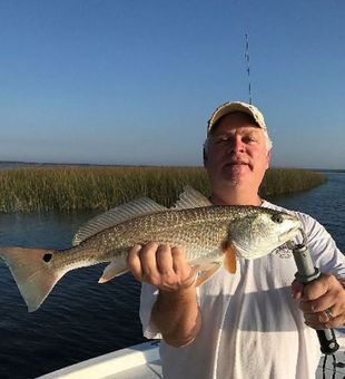 Redfish in Apalachicola, FL