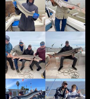 Explore River Depths for Sturgeon