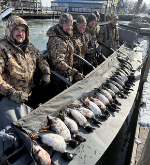 Successful duck hunting trip at Lake Erie marina.