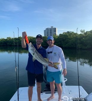 Snook Fishing in Naples FL Fishing Charter!