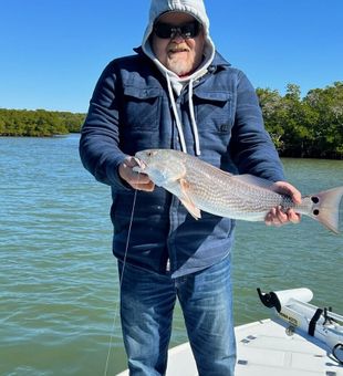 Family-friendly Naples fishing trips perfect for beginners and seasoned anglers alike.