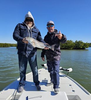 Redfish reeled in - Naples, FL.