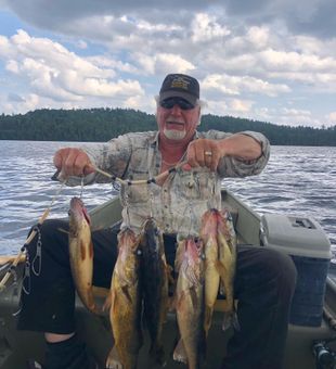 Walleye Wonderland: Fishing Adventure