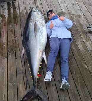 Monster bluefin tuna landed in Manteo NC waters!