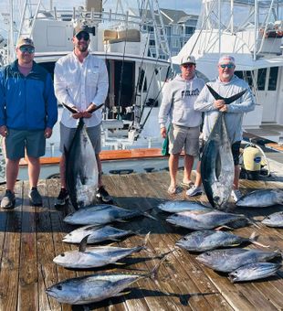 Epic tuna haul featuring yellowfin, bluefin, and skipjack in Manteo!