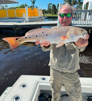 Just another day on the water.