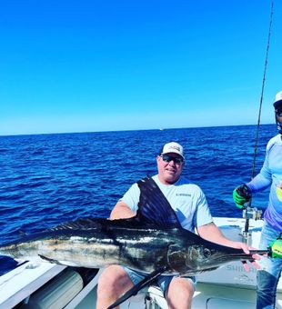 Sailfish in Fort Pierce