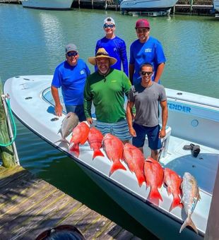 Northern Red Snapper in Fort Pierce