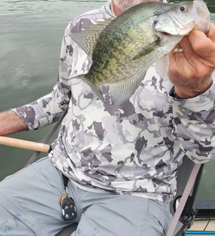 Adventure starts with a ride across Beaver Lake.