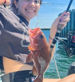 Explore St. Pete Waters