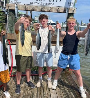 Spanish Mackerel, Little Tunny and King Mackerel from Destin!