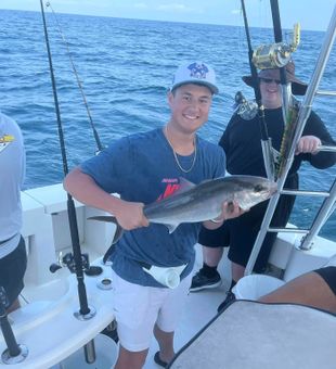 Greater amberjack success in Destin FL waters!