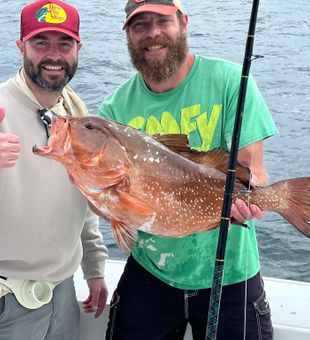 Beautiful red grouper caught in Destin FL waters!