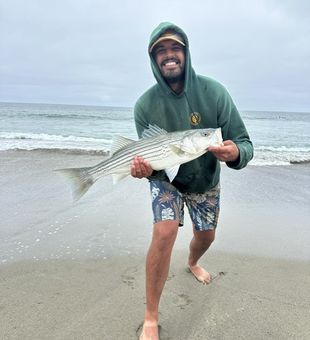 El Cerrito striped bass making the day complete!