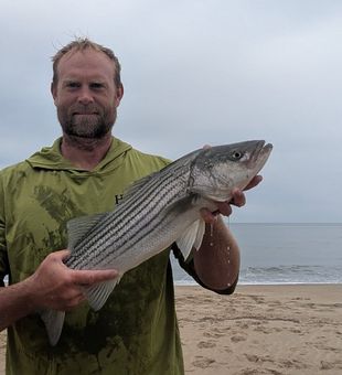 Nice striped bass from Lewes Delaware waters!