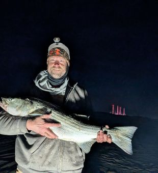 Beautiful striped bass caught during night fishing in Lewes!