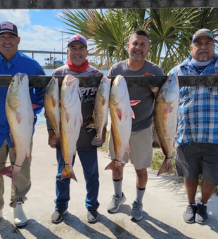 Corpus Christi: Where fish roam.