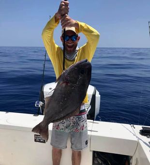 Reef Fishing For Grouper, Fl