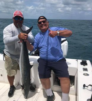 King Mackerel Fishing In Key West, FL