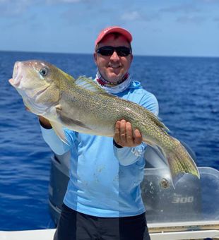 Grey Tilefish Fishing In Key West, FL