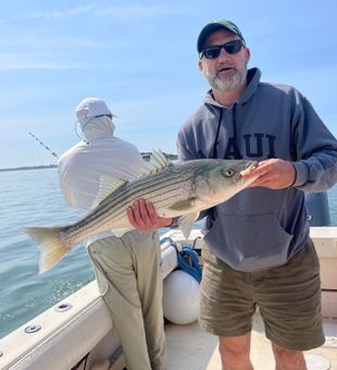 Beautiful Hingham striped bass makes for perfect fishing day!