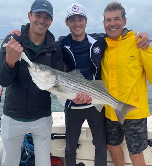 Beautiful Hingham striped bass from today's charter!
