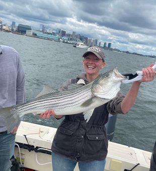 Beautiful Hingham striped bass from today's charter!