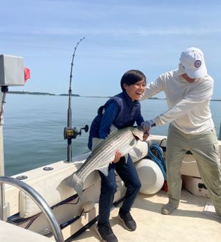 Beautiful Hingham striped bass makes the trip worthwhile!