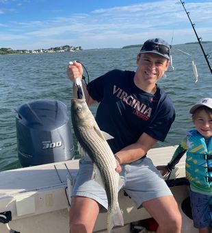 Beautiful Hingham striped bass on the boat today!
