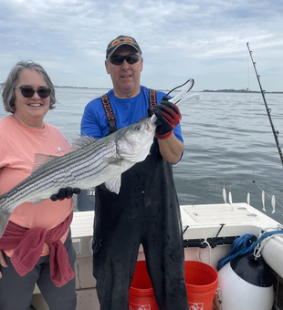A massive striped bass caught on a thrilling deep sea fishing adventure!