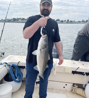 17-inch striped bass landed after a thrilling deep sea fishing session!