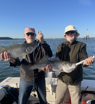 Nice striped bass action today using deep sea jigging and light tackle!
