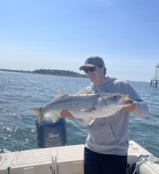 Striped Bass on the line in Hingham's clear waters!