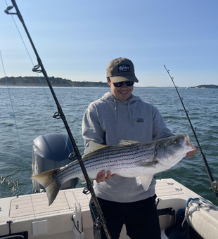 Huge Striped Bass reeled in while deep sea fishing!
