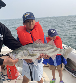 Big Striped Bass landed while deep sea fishing in Hingham!
