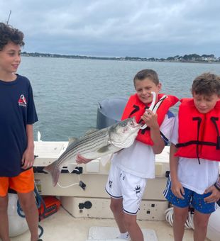 Nice striped bass from Hingham MA waters!