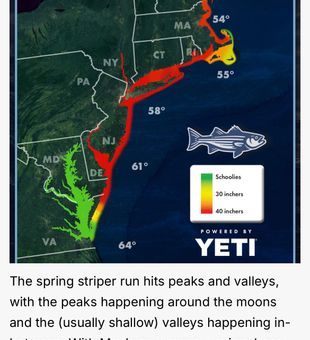 Spring striper run peaks and valleys mapped perfectly!
